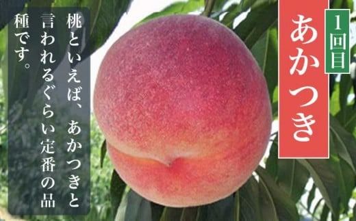 小布施町 桃の食べ比べ定期便 約1.8kg×3回 ［小布施屋］ 桃 もも モモ フルーツ 果物 冷蔵便 クール便 長野県産 令和7年産【2025年7月末～9月上旬発送】 ［B-502］