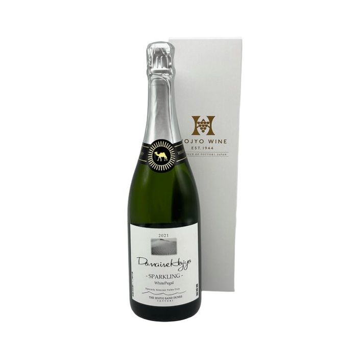 y挧khz1019.yizh[kXp[NO2021yʌzsp[h:Xp[NOCt 313726_BT025