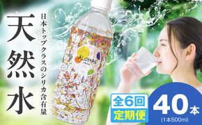 099Z363 【定期便】シリカ水 500ml 40本×全6回【ALOHAS 国産 天然水 ミネラルウォーター 高濃度シリカ 飲料水 防災 備蓄 ペットボトル 毎月配送コース】
