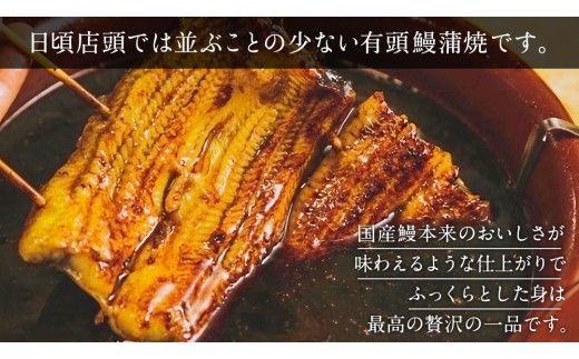 鹿児島県産 有頭 鰻 蒲焼 × 2尾 （ 1尾 135g ～ 155g 以上） うなぎ ウナギ 土用丑の日 家庭用 贅沢 国産 旬 敬老の日 タレ 山椒 付 縁起 [DQ007us]