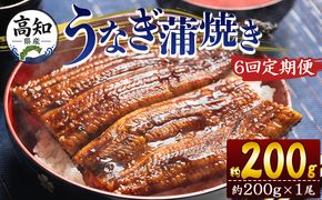 定期便 うなぎ 蒲焼き 約200g １尾 6回 高知県産 養殖 魚介 国産 海鮮 魚 かばやき 鰻 ウナギ 惣菜 おかず お手軽 加工品 加工食品 冷凍 Wfb-0047