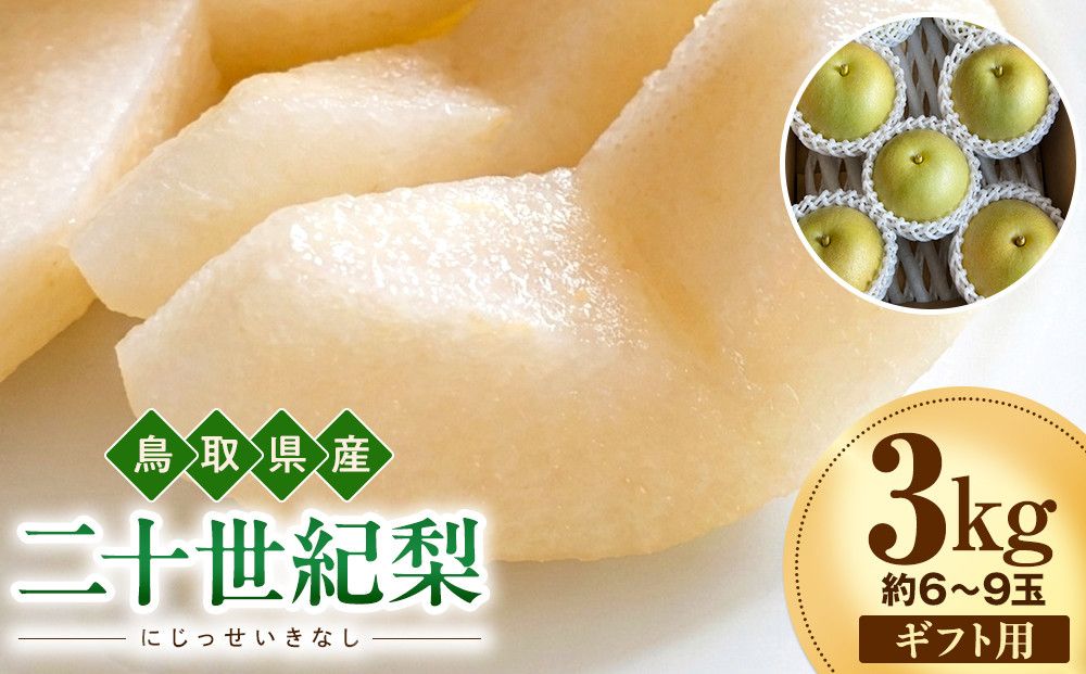 [2026年度先行予約]数量限定 鳥取県産 二十世紀梨 ギフト用 秀品 3kg(約6〜9玉)[8月20日以降発送] 313726