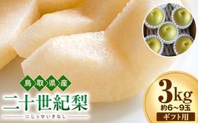 【2026年度先行予約】数量限定　鳥取県産　二十世紀梨　ギフト用　秀品 3kg(約6〜9玉)【8月20日以降発送】 313726_DE007