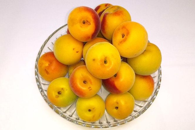 ［梅干しづくり用］紀州南高梅・優１０ｋg（３Ｌ） 304018_AV23