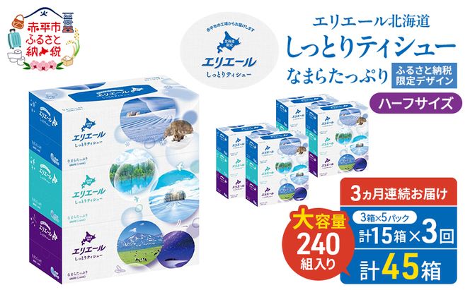 定期便 3ヵ月連続お届け エリエール ハーフサイズ 収納に便利 コンパクト 【少量5パック】 北海道 しっとりティシュー なまらたっぷり 240組3箱 5パック 計15箱 ボックスティシュー ふるさと納税限定デザイン