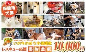 保健所犬猫レスキュー【返礼品なしのご寄附】犬 猫 保護 レスキュー 動物愛護 返礼品なし ペット 保護犬 保護猫 支援 応援 ボランティア_kn101-002