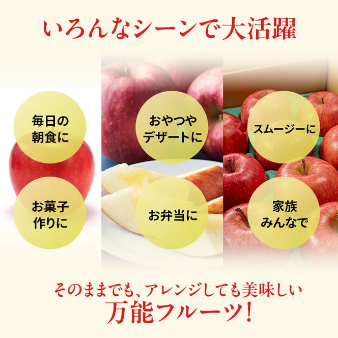 りんご 訳あり 3kg 果物 フルーツ わけあり 不揃い 規格外 ご家庭用 宮城県 大河原町 産地直送 林檎 リンゴ くだもの 先行予約 送料無料