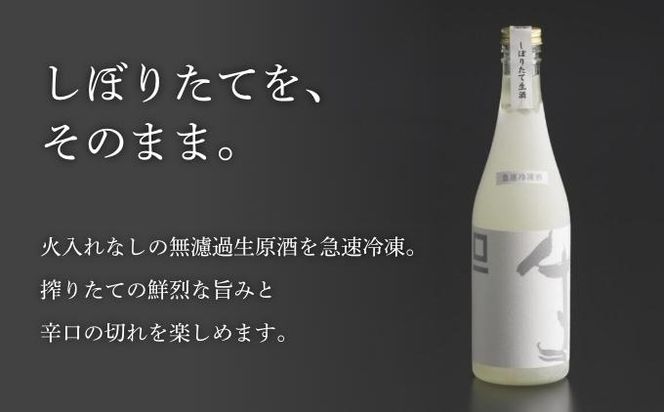 急速冷凍酒 スクウェア・ワン 500ml［桝一市村酒造場］ お酒 日本酒 地酒 ご当地 生酒 プレゼント 贈答 長野県 信州 お取り寄せ 蔵元直送 辛口