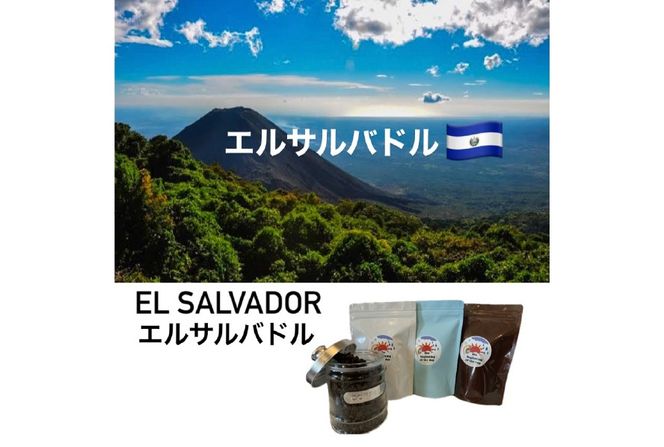 コーヒー豆 3ヶ月 定期便 100g×3 [いち日のはじまり 福岡県 筑紫野市 21761225] コーヒー 珈琲豆 珈琲 豆