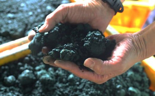 お香 SOZO（ソウゾウ） 春夏秋冬&三大香木 2点セット　[線香 お供え 墓参り 仏具 線香]