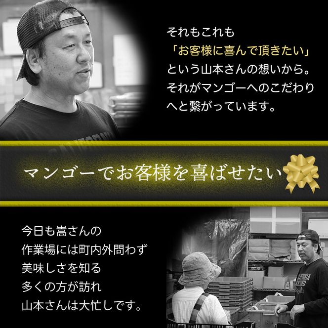 【母の日お届け】かおる・とろける！土佐マンゴー10個