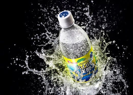 10I1【定期便６か月コース】富士山の強炭酸水レモン500ml×24本入×６回