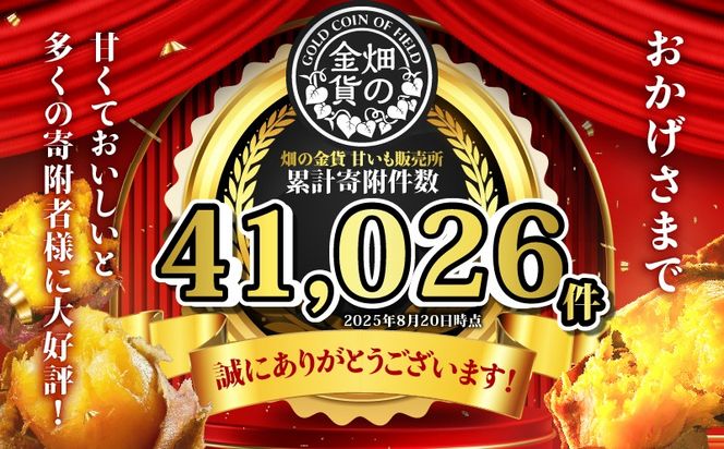 yszyS5zy̋݁zĂg͂邩3kg ց@K181-T02