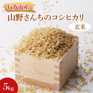 ★令和7年度産★山野さんちのコシヒカリ 5kg(玄米)｜米 お米 こめ こしひかり コシヒカリ 令和7年産 R7年産 新米 玄米 茨城県 行方市(BR-6-2)