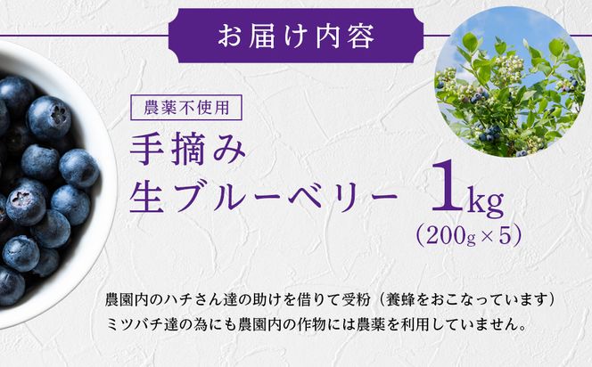 【農薬不使用】 手摘み生ブルーベリー 1kg 142069_JJ002
