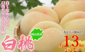 桃 2026年先行予約 岡山県産 白桃 約1.3kg 5～7玉 お届け 7月上旬～7月下旬