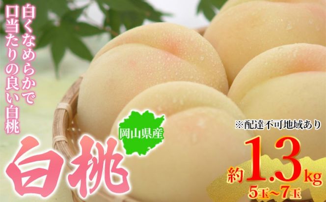 桃 2026年先行予約 岡山県産 白桃 約1.3kg 5～7玉 お届け 7月上旬～7月下旬