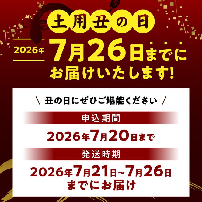 G7313_【土用の丑の日】＜7月26日までにお届け＞ふっくら柔らか 国産うなぎ蒲焼き 2尾