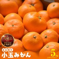 【2026年先行予約】みかん とにかく 小玉 箱込 5kg ( 内容量 4.4kg ) 2Sサイズ以下 秀品 優品 混合 有田みかん 和歌山県産 産地直送 【みかんの会】_MK1040