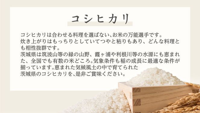 《 令和6年産 》 茨城県産 コシヒカリ 10kg ( 5kg × 2袋 ) 期間限定 こしひかり 米 コメ こめ 五ツ星 高品質 白米 精米 時短 単一米 新米 [AC040us]