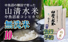 【令和8年産 先行予約】新潟県魚沼産コシヒカリ「山清水米」無洗米10kg