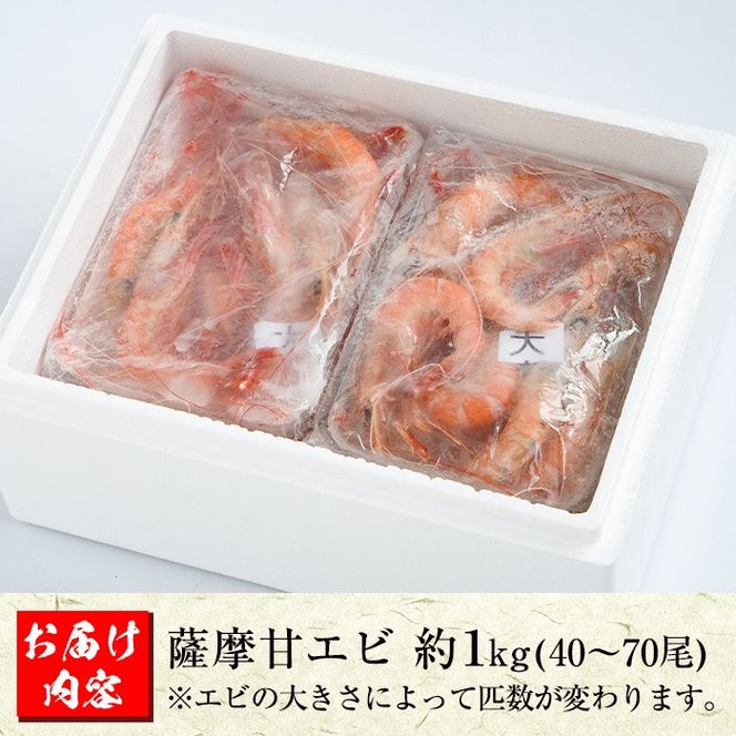 数量限定！鹿児島県阿久根産 薩摩甘エビ(約1kg・40～70尾) 国産 阿久根市産 えび 海老 急速冷凍 冷凍配送 魚貝類 魚介類 海産物 【濱崎魚類】a-12-30-z