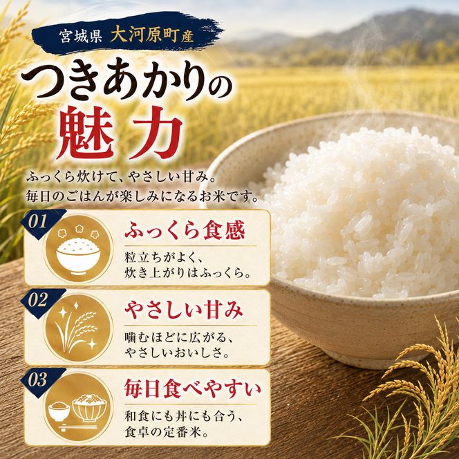 つきあかり 定期便 7回/10kg（5kg×2袋） 令和8年産 新米 ブランド米 白米 精米 【小分け】 宮城県大河原町産