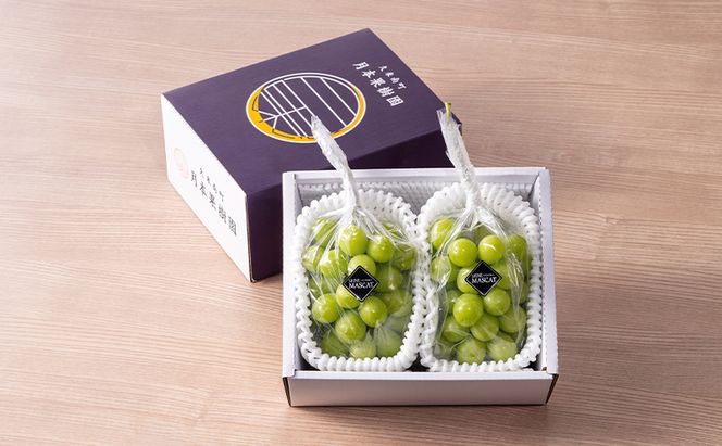 【定期便】【2026年先行予約】 ぶどう 岡山県産 シャインマスカット 1kg箱（各2～3房） 定期便 3回 《2026年10月中旬-12月上旬頃出荷》 葡萄 ブドウ 岡山県産 フルーツ 果物 数量限定
