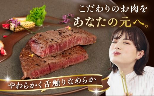 【全6回定期便】【A4/A5等級】博多和牛 ヒレステーキ 800g (100g×8枚) 糸島市 / ヒサダヤフーズ 黒毛和牛 牛肉 ヒレ肉  [AIA091] ステーキ ヒレ ヒレ肉 フィレ 牛肉 赤身 黒毛和牛 国産 博多 和牛 おすすめ