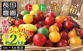 【2027年発送】約2kg！まるでトマトの宝石箱！フルーツジュエリートマト 4月～6月発送 長田農園 産地直送 カラフル トマト とまと 野菜 やさい フルーツ サラダ 濃厚 甘い ご褒美 プレゼント 美容 健康 リピート多数 人気 高評価 先行受付 数量限定 碧南市 H004-195