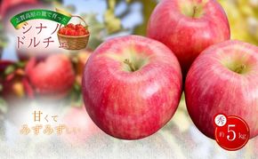 【2026年発送】志賀高原の麓で育った シナノドルチェ 秀16玉 約5kg りんご フルーツ 果物 おやつ 長野県 長野