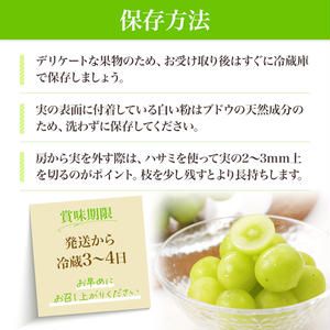 【 先行予約 】 シャインマスカット 1房 650g前後＜出荷時期：2026年10月上旬～10月中旬ごろ＞【 数量限定 期間限定 果物 果物類 フルーツ ぶどう ブドウ 葡萄 マスカット 秋田 にかほ 】