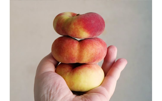 【きよとうファーム】幻の桃、蟠桃のお酒「ほろ酔い紀元」 (岡山県産)【KF-S007-02】