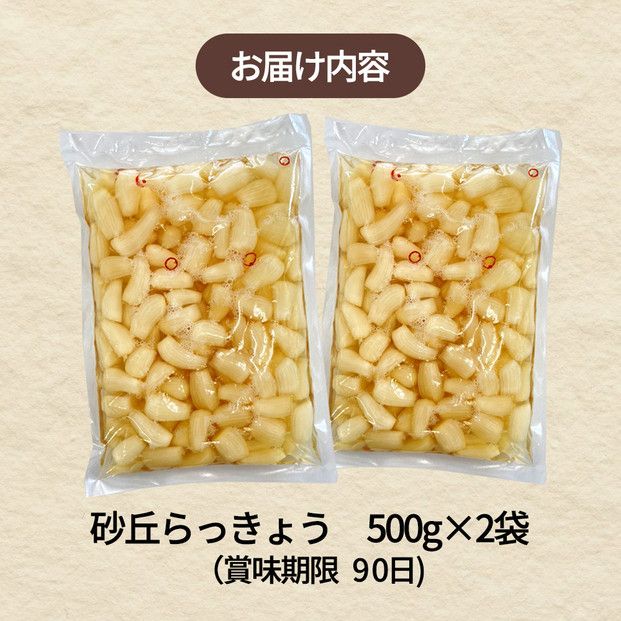 【業務用】鳥取県産砂丘らっきょう　500ｇ×2 322032_BS010