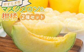 メロン 柑橘 2種セット マスクメロン yr-0111