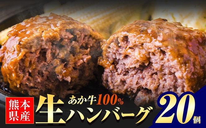熊本県産あか牛100%生ハンバーグ 140g×20個 入り 《30日以内に出荷予定(土日祝除く)》 冷凍 ハンバーグ---mna_faknhamv_30d_26_19000_20p---
