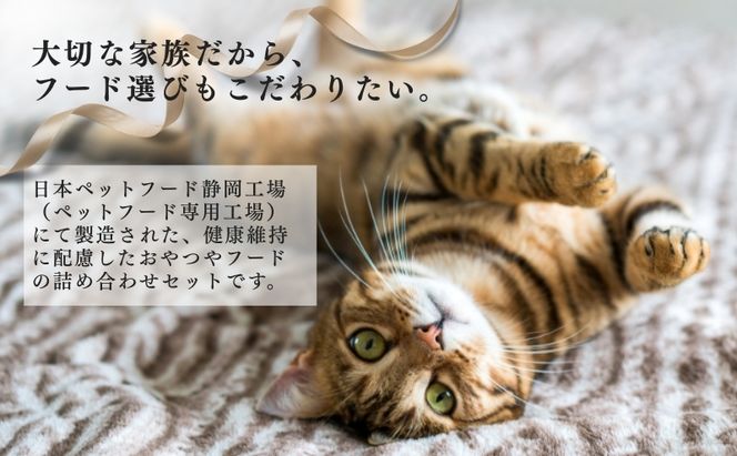 日本ペットフード ビューティプロ機能性 セット キャットフード