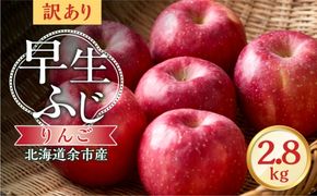 【先行予約：2026年10月中旬より発送】訳アリ りんご（早生ふじ）2.8kg【北海道余市町産】_Y103-0091