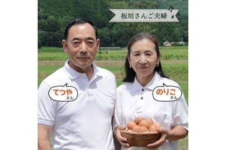 【全12回定期便】てつやとのりこの 玉子　30個 × 12ヶ月　糸島 / 板垣ファーム たまご 卵12か月 [AWD010]