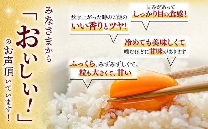【令和7年産 新米】さがびより 精米 15kg(5kg×3袋)【特A受賞米 大容量 人気 佐賀県産 ブランド米 増田米穀】(H015202)