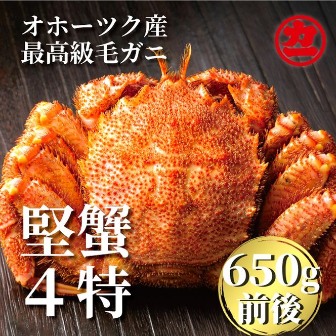 21-79 北海道産ボイル毛がに【四特】 大サイズ1尾入り（1尾約650ｇ前後）
