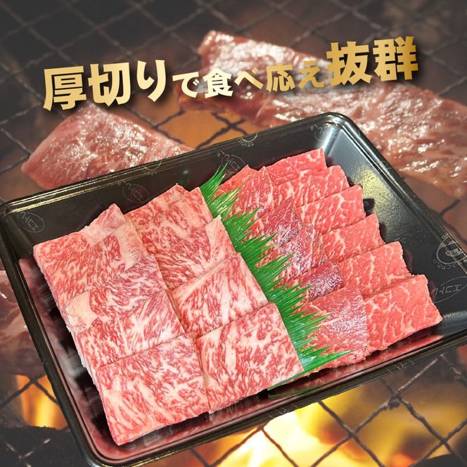 【黒毛和牛レストラン直送】A4等級以上 宮崎牛メス指定厚切り特選焼肉セット 500g（国産 牛肉 黒毛和牛 和牛 A4等級以上 赤身 霜降り 焼肉 BBQ 冷凍）