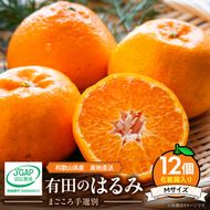 【2027年先行予約】和歌山県産 有田の はるみ 化粧箱入り Mサイズ 12個入り_ZE6092n