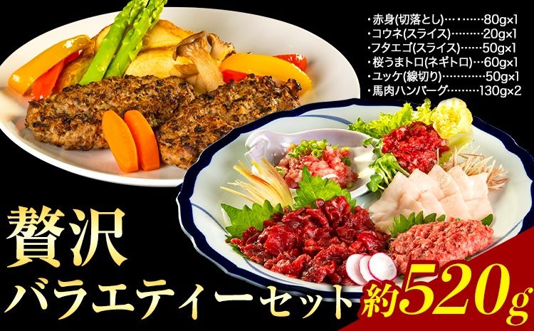 贅沢バラエティセット 520g 千興ファーム 馬肉 冷凍 [60日以内に出荷予定(土日祝除く)] 新鮮 さばきたて 生食用 肉 熊本県御船町 馬刺し 馬肉 惣菜 希少部位---mifune_snk_30_520g---