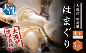 大洗産鹿島灘天然はまぐり 5kg 冷蔵 漁協直送 お吸い物 ハマグリ 蛤 貝 砂抜き処理 魚介類 大洗産 天然 はまぐり