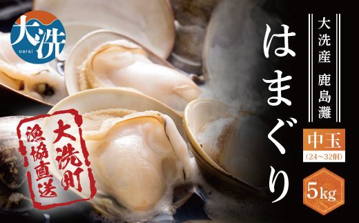 大洗産鹿島灘天然はまぐり 5kg 冷蔵 漁協直送 お吸い物 ハマグリ 蛤 貝 砂抜き処理 魚介類 大洗産 天然 はまぐり