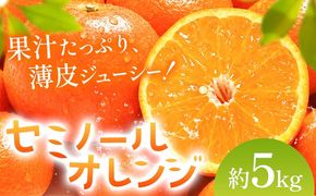 オレンジ セミノールオレンジ 約5kg 株式会社魚鶴商店《5月上旬-5月下旬頃出荷予定》 和歌山県 日高川町 柑橘 フルーツ---wshg_uot231_5j5g_26_14000_5kg---