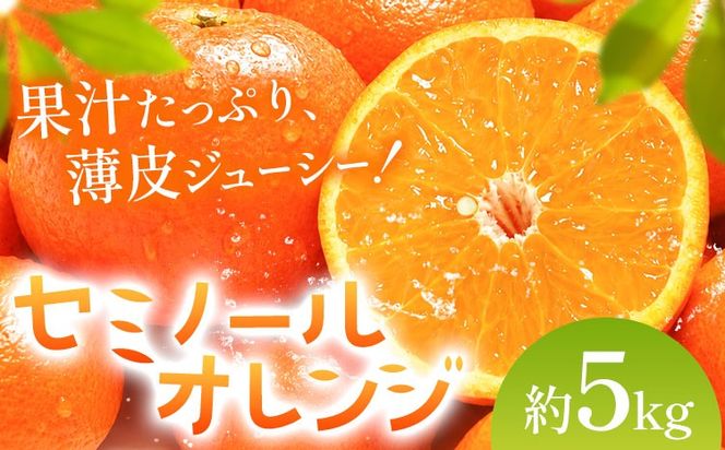 オレンジ セミノールオレンジ 約5kg 株式会社魚鶴商店《5月上旬-5月下旬頃出荷予定》 和歌山県 日高川町 柑橘 フルーツ---wshg_uot231_5j5g_26_14000_5kg---