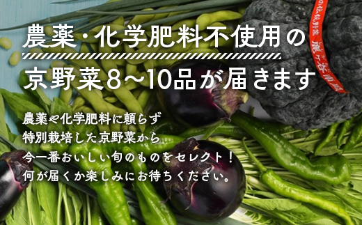 【12回定期便】 ＜アスカ有機農園＞旬の京野菜セットS＊毎月お届け全12回