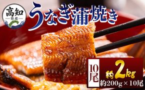 うなぎ 高知県産蒲焼きうなぎ ２００ｇ １０尾 計２kg fb-0165